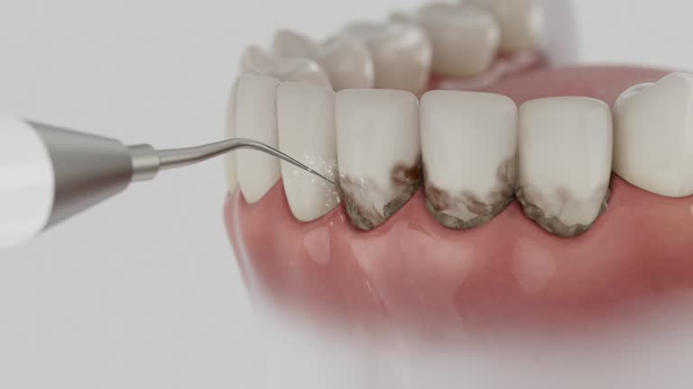 Reliable Dental contractor in Mansfield, AR by Dentist Open Now